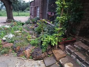 4.4 ha Farm in Houtkop AH