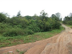 2012 m² Land available in Bathurst and Surrounds
