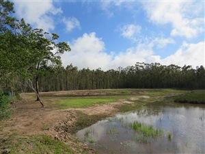 4.2 ha Land available in Kragga Kamma