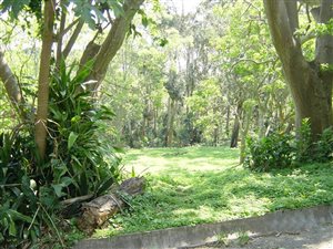 1224 m² Land available in Melville