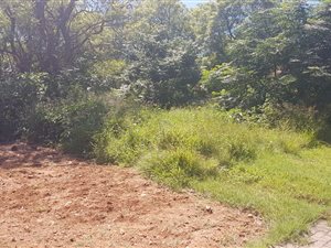 1066 m² Land available in Amandasig