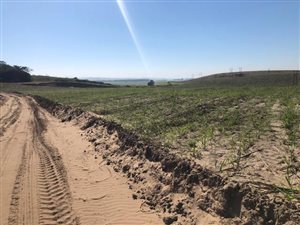 1.9 ha Farm in Ballito