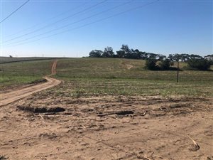 1.9 ha Farm in Ballito