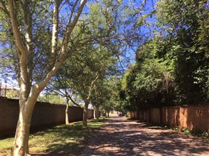 1.1 ha Land available in Randjesfontein