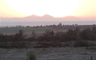 56 ha Farm in Albertinia