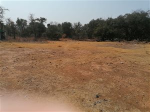52 ha Farm in Laezonia