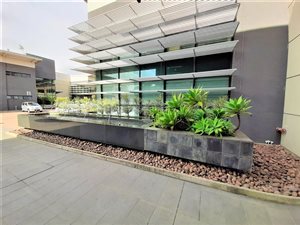 1000 m² Office Space in Dawncliffe
