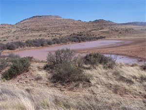 747 ha Farm in Steynsburg