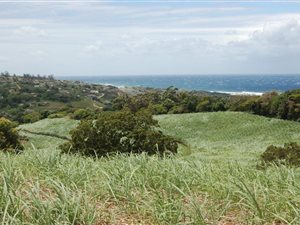 25 ha Farm in Hibberdene