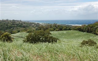 25 ha Farm in Hibberdene
