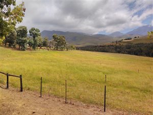 178 ha Farm in Riversdale