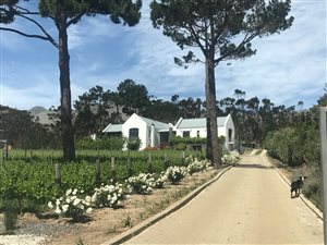 5 Bed House in Sir Lowrys Pass