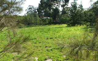 861 m² Land available in Aurora