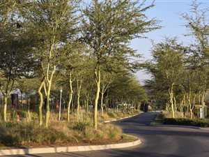 1.1 ha Land available in Blue Hills Equestrian Estate