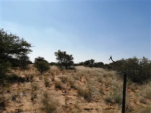 4942 ha Farm in Vryburg