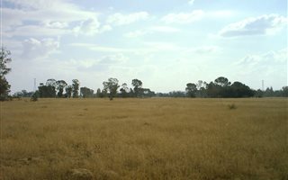 4.3 ha Land available in Shannon