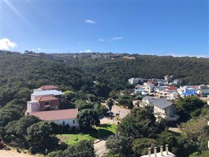 Bachelor apartment in Herolds Bay
