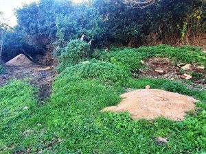 660 m² Land available in Jongensfontein