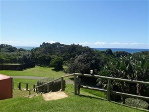 2 Bed Apartment in Palm Beach
