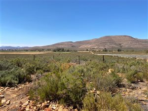 27.1 ha Farm in Touws Rivier