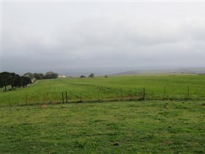 638 ha Farm in Grahamstown