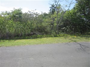 1017 m² Land available in Margate
