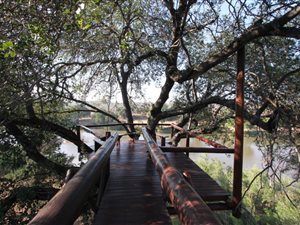 14.5 ha Farm in Hoedspruit