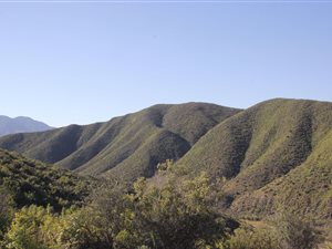 Game Farm in Calitzdorp