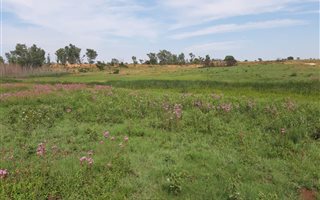 90 ha Farm in Honingnestkrans