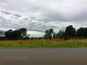 58491 ha Farm in Doornkloof