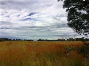 58491 ha Farm in Doornkloof