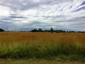 58491 ha Farm in Doornkloof