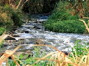 1.4 ha Land available in Kameeldrift East