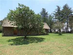 Bed and breakfast in Ermelo
