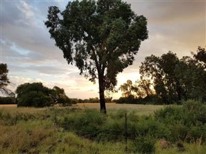 292 ha Farm in Vryburg