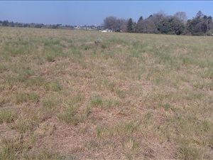 1742 m² Land available in Howick