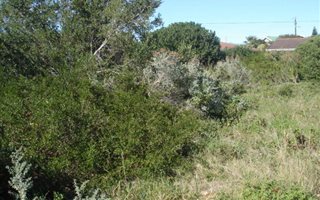 899 m² Land available in Fraaiuitsig