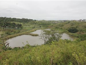 3 Bed House in Palm Lakes Estate