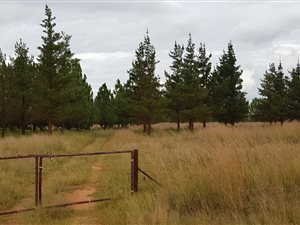 4.8 ha Land available in Marlbank