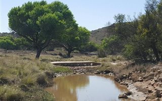 742 ha Farm in Jagersfontein