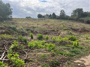 4432 m² Land available in Hilton