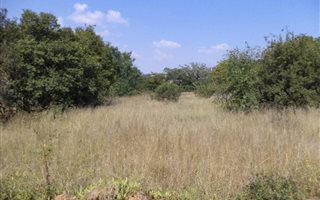 17800 m² Commercial space in Broadacres