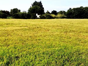 5103 m² Land available in Daleside