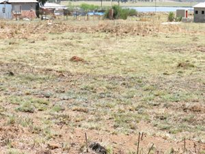 2855 m² Land available in Belfast