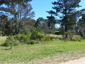 4273 m² Land available in Seaview