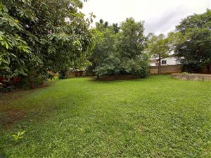 3 Bed House in Richem