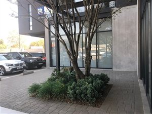 224 m² Commercial space in Bedfordview