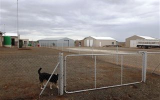 8006 ha Farm in Brandvlei
