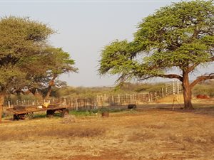 771.3 ha Farm in Zeerust