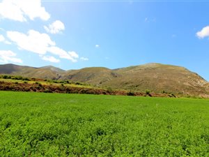 130 ha Farm in Mossel Bay Central